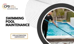 Pool Maintenance